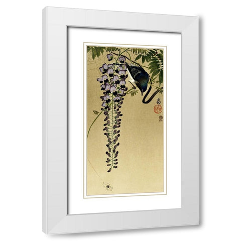 Flycatcher at wisteria White Modern Wood Framed Art Print with Double Matting by Koson, Ohara