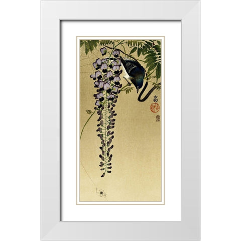 Flycatcher at wisteria White Modern Wood Framed Art Print with Double Matting by Koson, Ohara