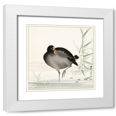 Moorhen White Modern Wood Framed Art Print with Double Matting by Koson, Ohara