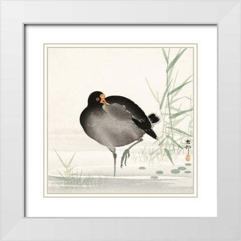 Moorhen White Modern Wood Framed Art Print with Double Matting by Koson, Ohara