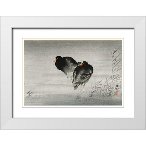 Two moorhens White Modern Wood Framed Art Print with Double Matting by Koson, Ohara