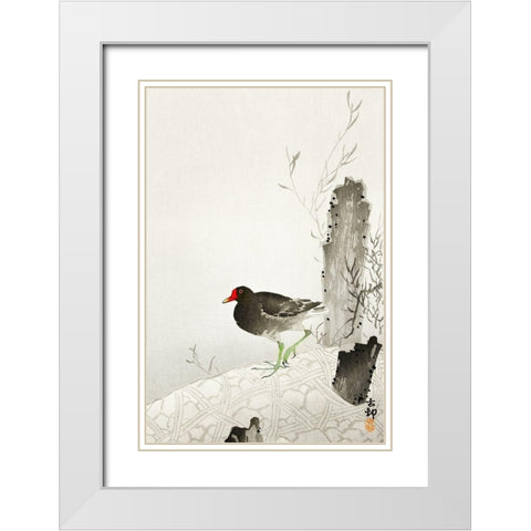 Moorhen White Modern Wood Framed Art Print with Double Matting by Koson, Ohara