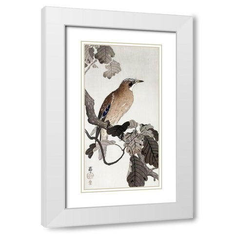 Jay on tree branch White Modern Wood Framed Art Print with Double Matting by Koson, Ohara
