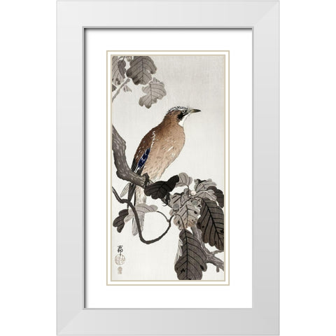 Jay on tree branch White Modern Wood Framed Art Print with Double Matting by Koson, Ohara