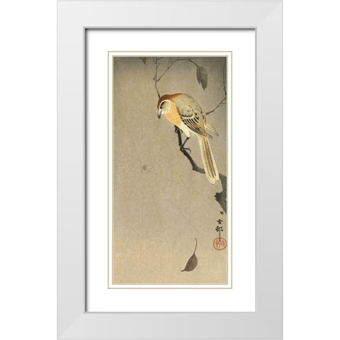 Buffalo wing shrike and spider White Modern Wood Framed Art Print with Double Matting by Koson, Ohara