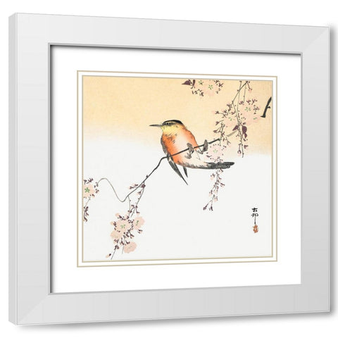 Songbird and Blossoming Cherry White Modern Wood Framed Art Print with Double Matting by Koson, Ohara