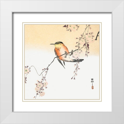 Songbird and Blossoming Cherry White Modern Wood Framed Art Print with Double Matting by Koson, Ohara