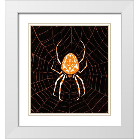 Spider in a webÂ  White Modern Wood Framed Art Print with Double Matting by De Graag, Julie