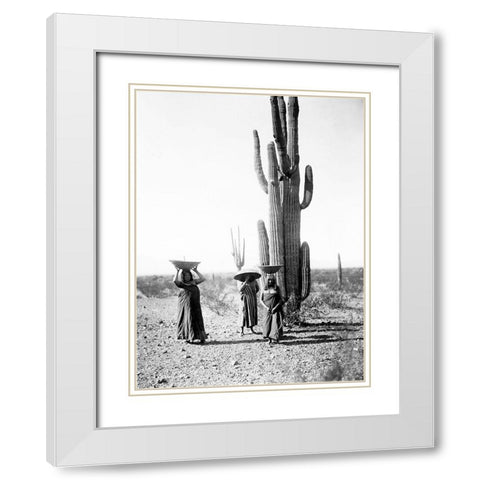 Saguaro gatherers, Maricopa, Arizona, ca. 1907 White Modern Wood Framed Art Print with Double Matting by Curtis, Edward