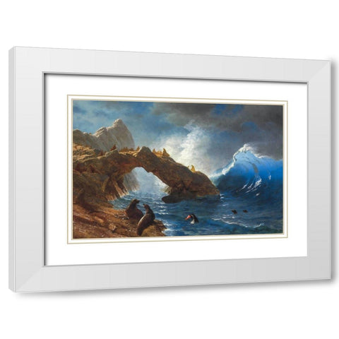 Seals on the Rocks White Modern Wood Framed Art Print with Double Matting by Bierstadt, Albert