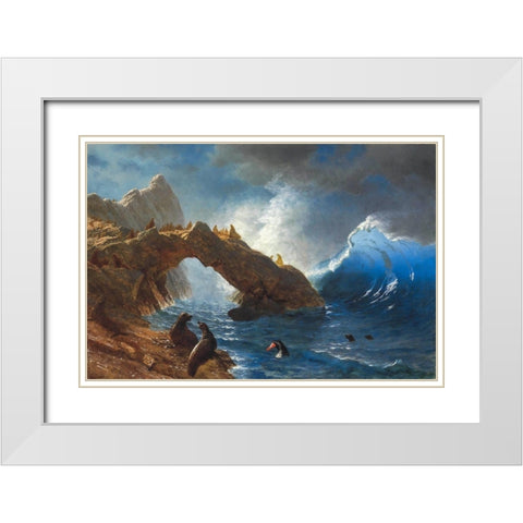 Seals on the Rocks White Modern Wood Framed Art Print with Double Matting by Bierstadt, Albert