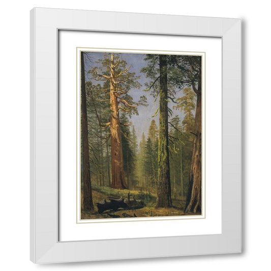 Perspective Image