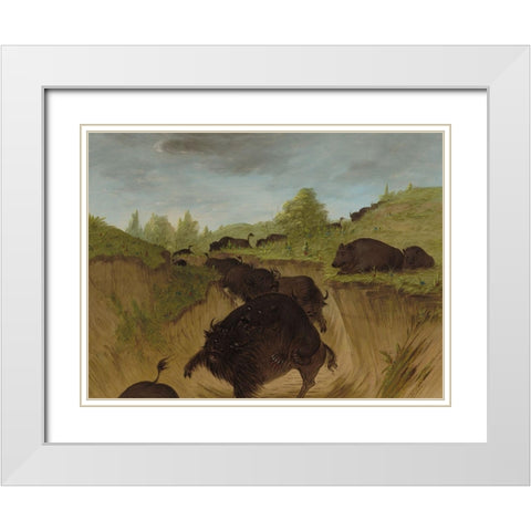 Grizzly Bears Attacking Buffalo White Modern Wood Framed Art Print with Double Matting by Catlin, George