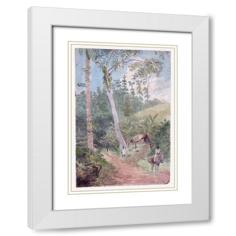Plantain Walk, Jamaica White Modern Wood Framed Art Print with Double Matting by Berryman, William
