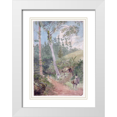 Plantain Walk, Jamaica White Modern Wood Framed Art Print with Double Matting by Berryman, William