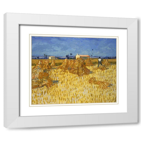 Corn Harvest in Provence White Modern Wood Framed Art Print with Double Matting by van Gogh, Vincent