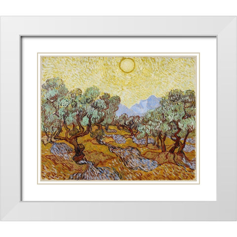 Olive Trees with yellow sky and sun White Modern Wood Framed Art Print with Double Matting by van Gogh, Vincent