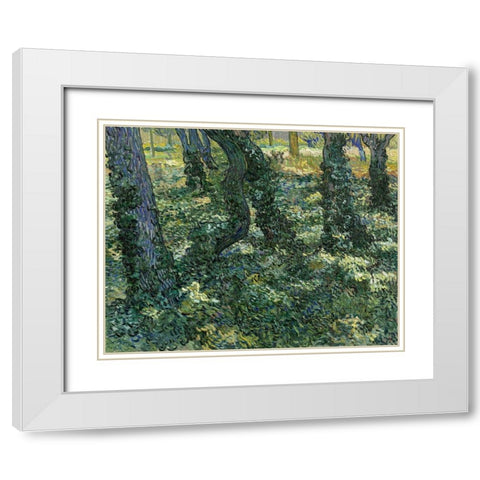 Undergrowth White Modern Wood Framed Art Print with Double Matting by van Gogh, Vincent