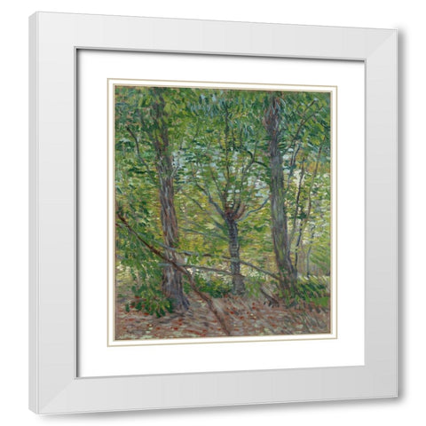 Trees White Modern Wood Framed Art Print with Double Matting by van Gogh, Vincent