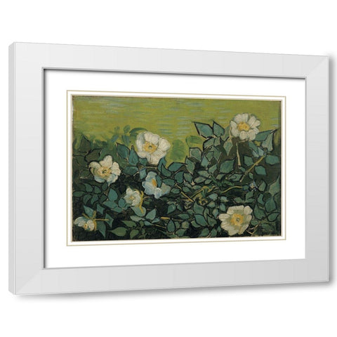 Wild roses White Modern Wood Framed Art Print with Double Matting by van Gogh, Vincent