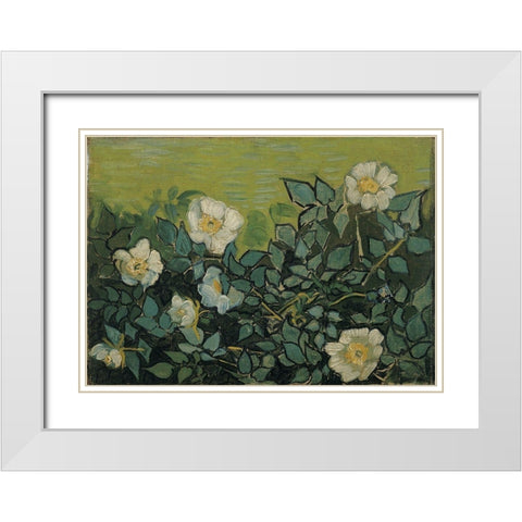 Wild roses White Modern Wood Framed Art Print with Double Matting by van Gogh, Vincent