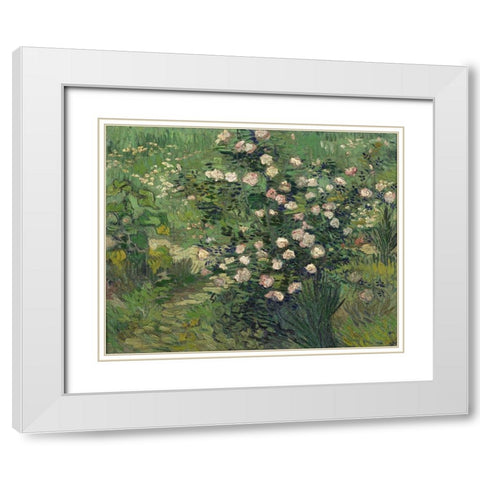 Roses White Modern Wood Framed Art Print with Double Matting by van Gogh, Vincent