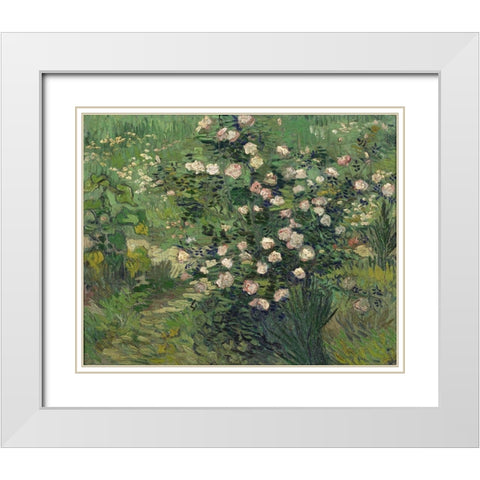 Roses White Modern Wood Framed Art Print with Double Matting by van Gogh, Vincent