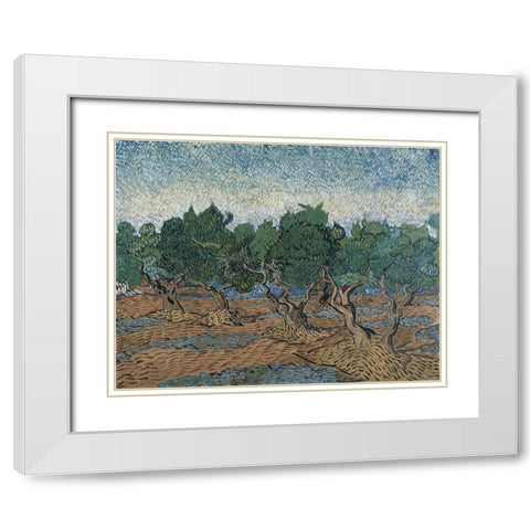 Olive grove White Modern Wood Framed Art Print with Double Matting by van Gogh, Vincent
