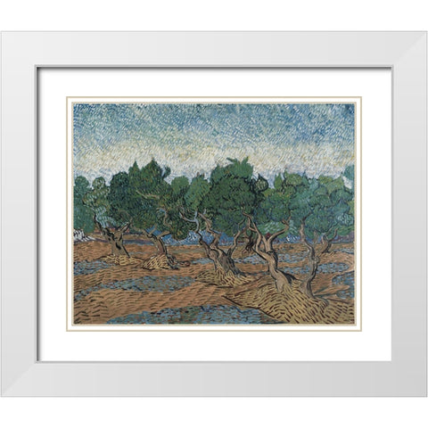 Olive grove White Modern Wood Framed Art Print with Double Matting by van Gogh, Vincent