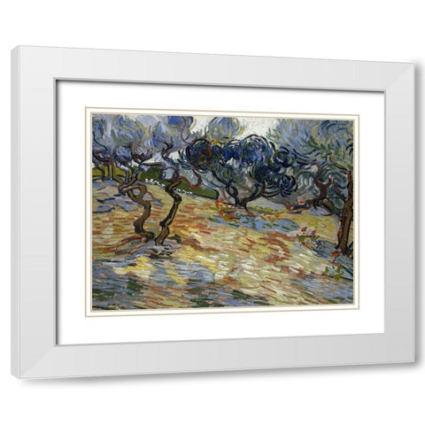 Olive Trees, Bright blue sky White Modern Wood Framed Art Print with Double Matting by van Gogh, Vincent