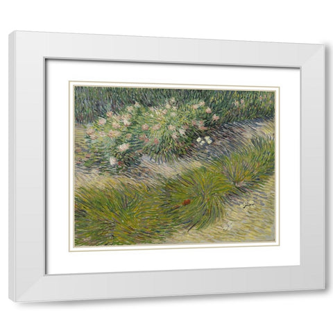Grass and Butterflies White Modern Wood Framed Art Print with Double Matting by van Gogh, Vincent