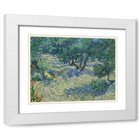 Olive Orchard White Modern Wood Framed Art Print with Double Matting by van Gogh, Vincent