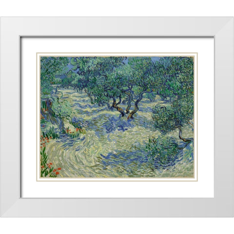 Olive Orchard White Modern Wood Framed Art Print with Double Matting by van Gogh, Vincent