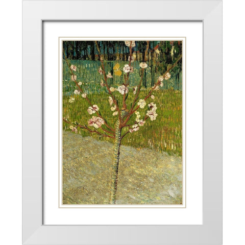 Almond tree in blossom White Modern Wood Framed Art Print with Double Matting by van Gogh, Vincent