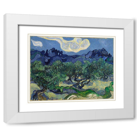 The Olive Trees White Modern Wood Framed Art Print with Double Matting by van Gogh, Vincent