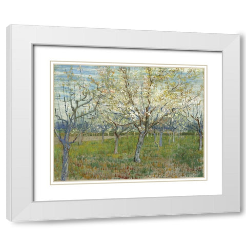 Orchard with Blooming Apricot Trees White Modern Wood Framed Art Print with Double Matting by van Gogh, Vincent