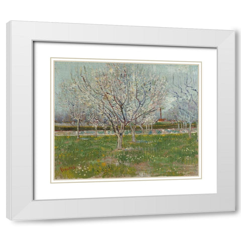 Orchard in Blossom White Modern Wood Framed Art Print with Double Matting by van Gogh, Vincent