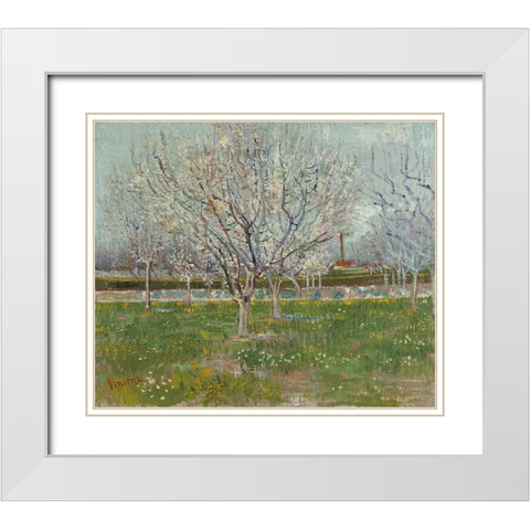 Orchard in Blossom White Modern Wood Framed Art Print with Double Matting by van Gogh, Vincent
