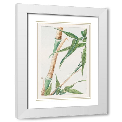 Japanese Bamboo White Modern Wood Framed Art Print with Double Matting by Morikaga, Megata