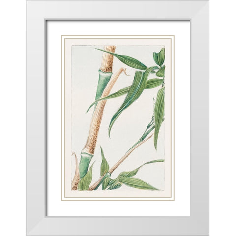 Japanese Bamboo White Modern Wood Framed Art Print with Double Matting by Morikaga, Megata