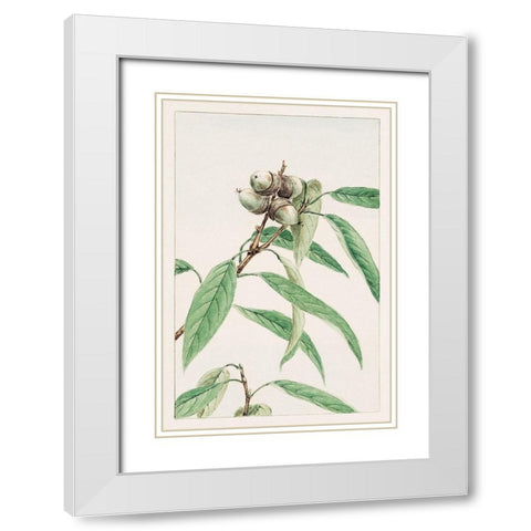 Kashi White Modern Wood Framed Art Print with Double Matting by Morikaga, Megata