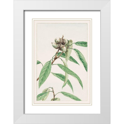 Kashi White Modern Wood Framed Art Print with Double Matting by Morikaga, Megata