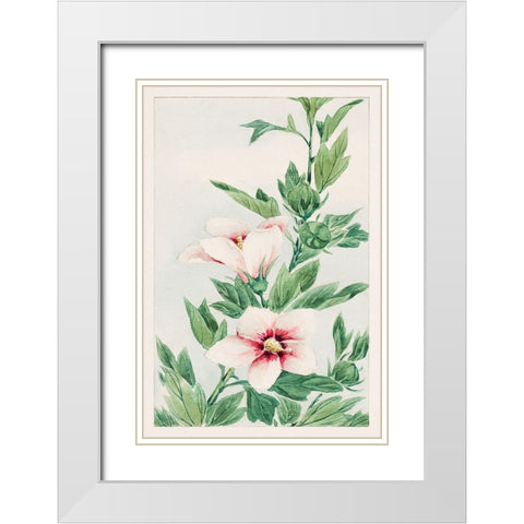 Hibiscus plant White Modern Wood Framed Art Print with Double Matting by Morikaga, Megata