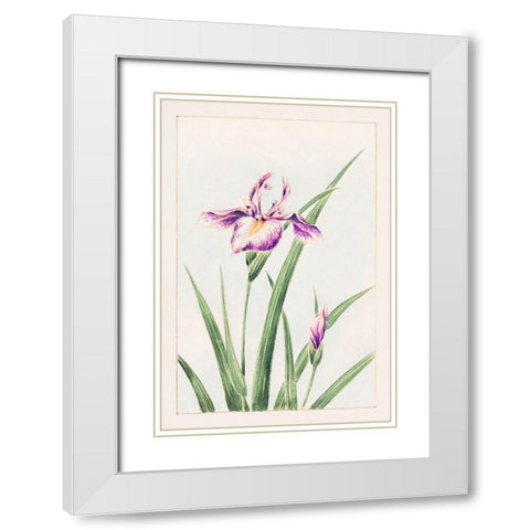 Hana strobel White Modern Wood Framed Art Print with Double Matting by Morikaga, Megata