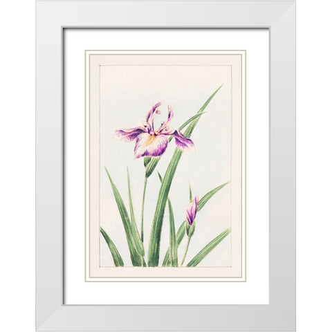 Hana strobel White Modern Wood Framed Art Print with Double Matting by Morikaga, Megata