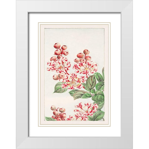 Sarusubi blossoms White Modern Wood Framed Art Print with Double Matting by Morikaga, Megata