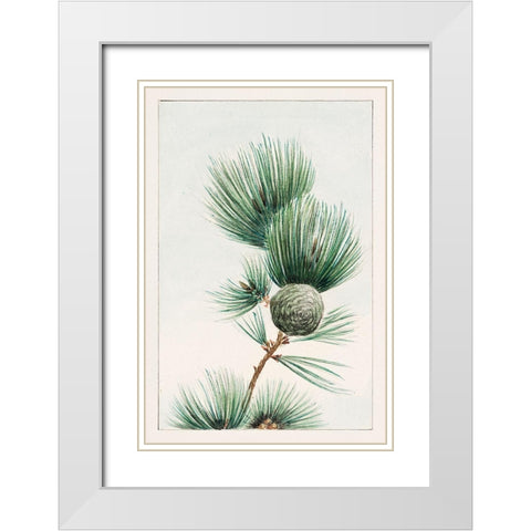 Gayo matsu pine White Modern Wood Framed Art Print with Double Matting by Morikaga, Megata