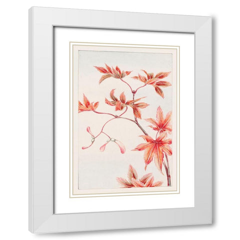 Branch of Momiji maple tree with leaves and seeds White Modern Wood Framed Art Print with Double Matting by Morikaga, Megata