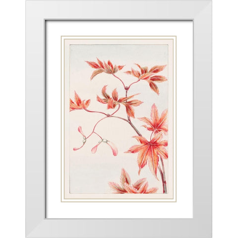 Branch of Momiji maple tree with leaves and seeds White Modern Wood Framed Art Print with Double Matting by Morikaga, Megata
