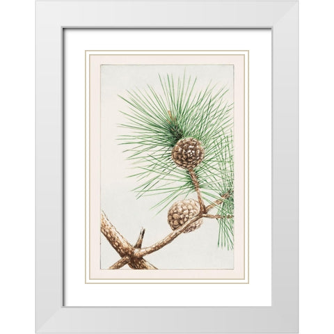 Matsu pine White Modern Wood Framed Art Print with Double Matting by Morikaga, Megata